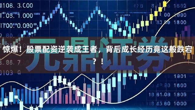 惊爆！股票配资逆袭成王者，背后成长经历竟这般跌宕？！
