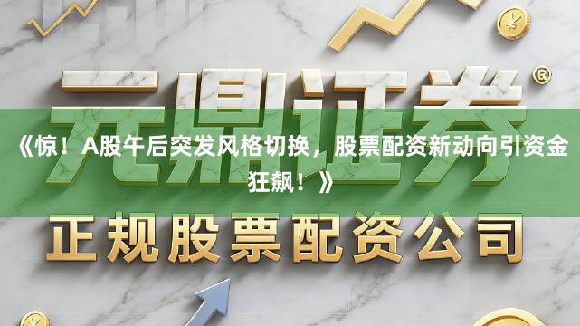 《惊！A股午后突发风格切换，股票配资新动向引资金狂飙！》