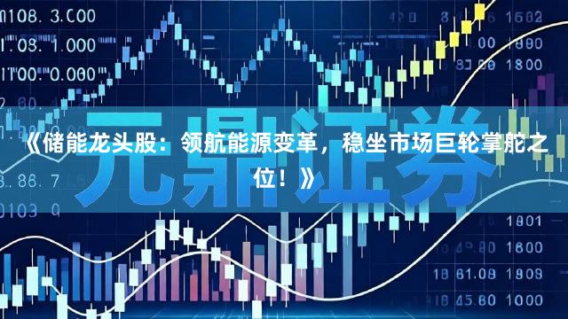 《储能龙头股：领航能源变革，稳坐市场巨轮掌舵之位！》