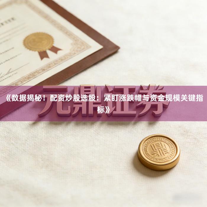 《数据揭秘！配资炒股选股：紧盯涨跌幅与资金规模关键指标》