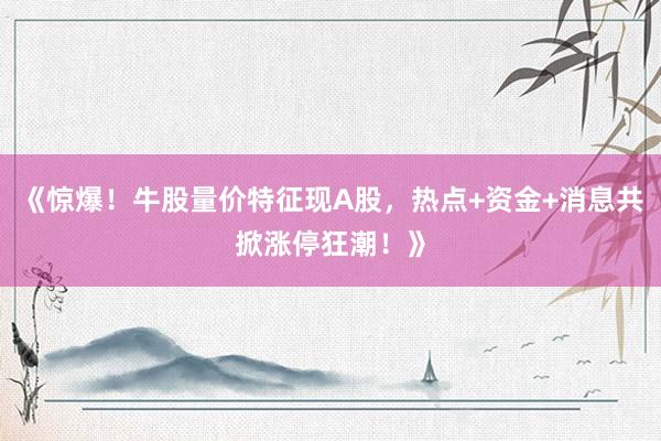 《惊爆！牛股量价特征现A股，热点+资金+消息共掀涨停狂潮！》