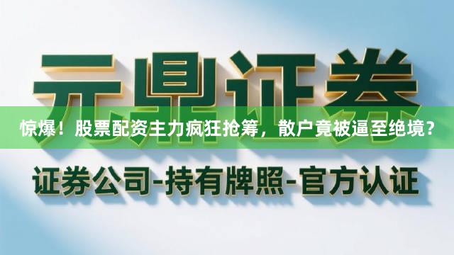 惊爆！股票配资主力疯狂抢筹，散户竟被逼至绝境？