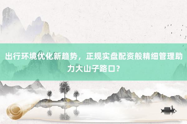 出行环境优化新趋势，正规实盘配资般精细管理助力大山子路口？
