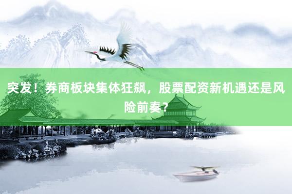突发！券商板块集体狂飙，股票配资新机遇还是风险前奏？