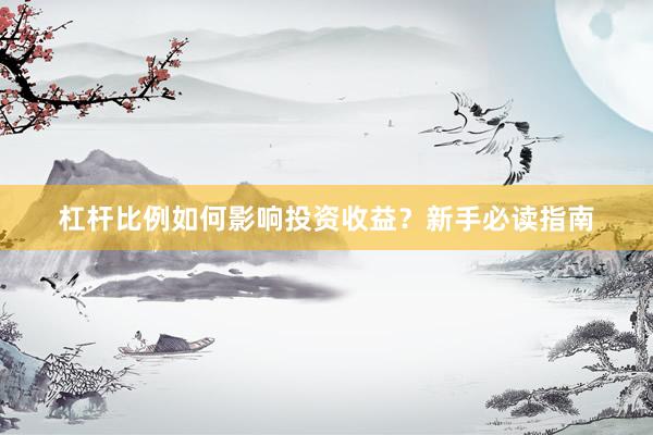 杠杆比例如何影响投资收益？新手必读指南