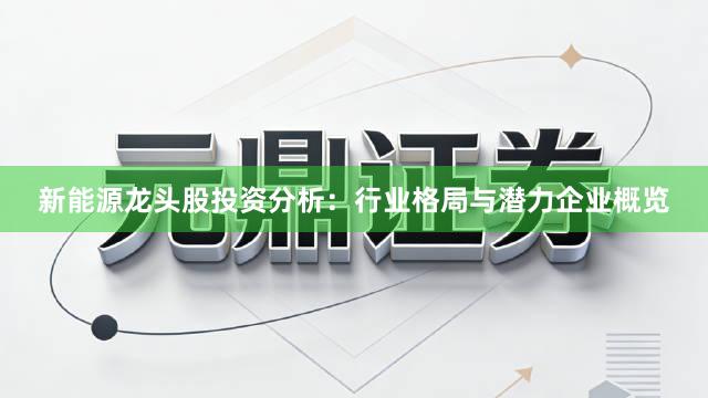 新能源龙头股投资分析：行业格局与潜力企业概览