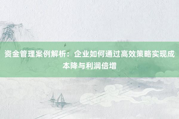 资金管理案例解析：企业如何通过高效策略实现成本降与利润倍增