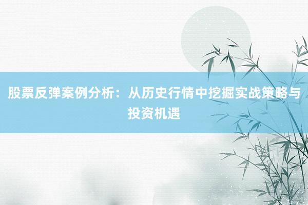 股票反弹案例分析：从历史行情中挖掘实战策略与投资机遇