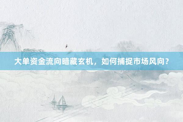 大单资金流向暗藏玄机，如何捕捉市场风向？