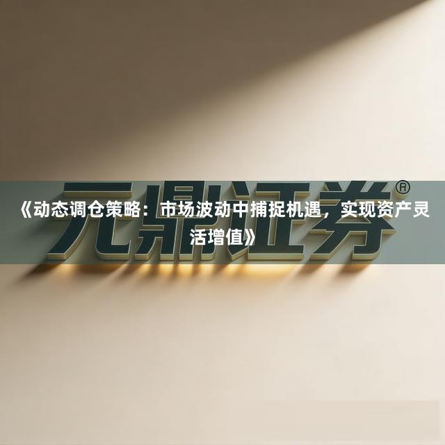 《动态调仓策略：市场波动中捕捉机遇，实现资产灵活增值》