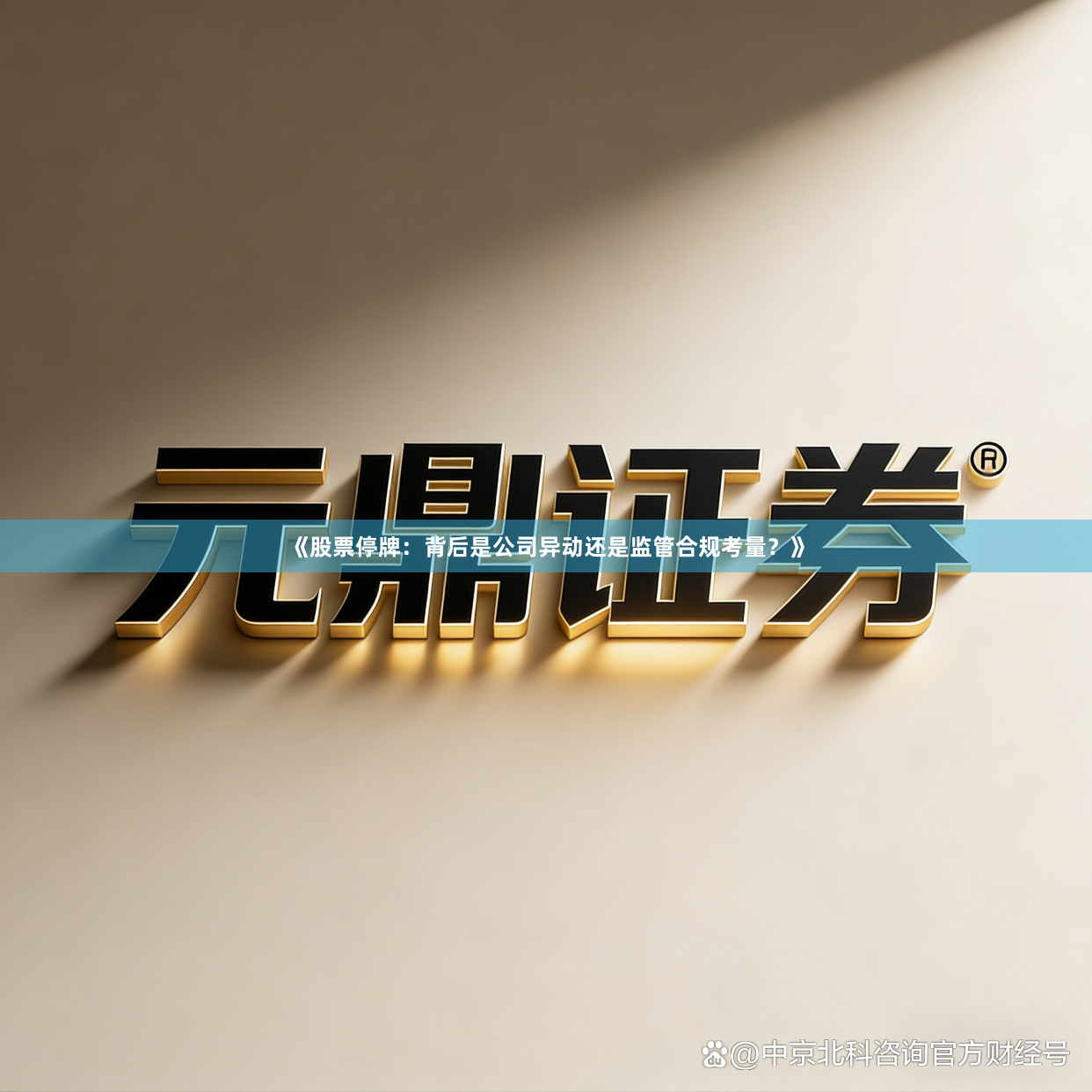 《股票停牌：背后是公司异动还是监管合规考量？》