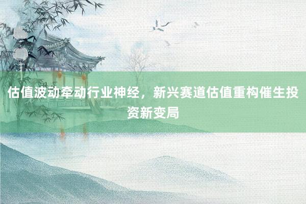 估值波动牵动行业神经，新兴赛道估值重构催生投资新变局