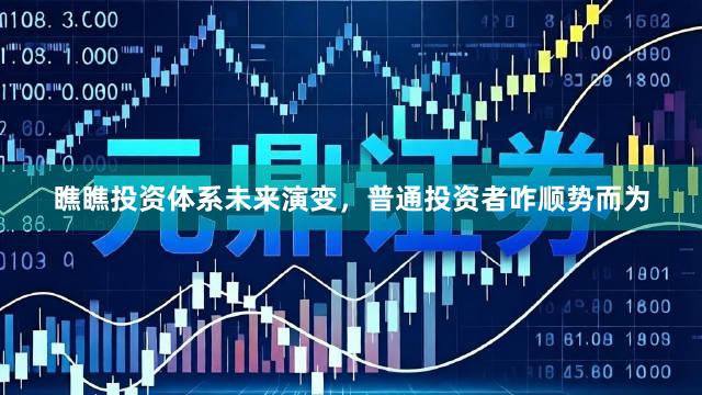 瞧瞧投资体系未来演变，普通投资者咋顺势而为