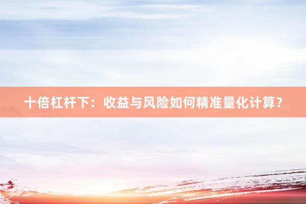 十倍杠杆下：收益与风险如何精准量化计算？