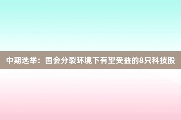 中期选举：国会分裂环境下有望受益的8只科技股