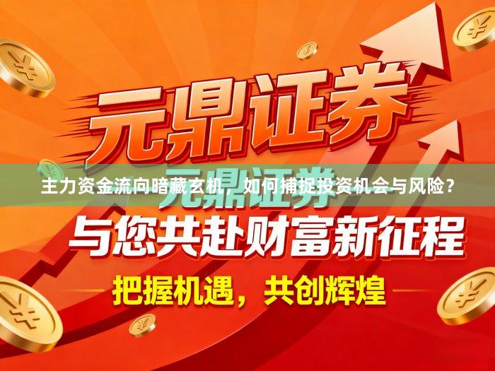 主力资金流向暗藏玄机，如何捕捉投资机会与风险？